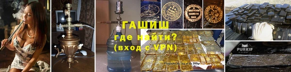 гашик Новозыбков