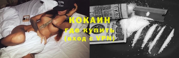 гашик Новозыбков