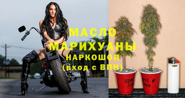 гашик Новозыбков