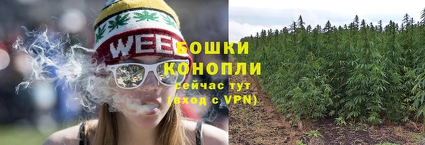 амф Няндома