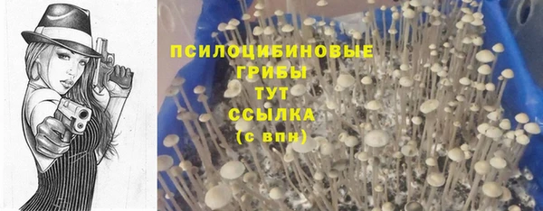 мескалин Абаза