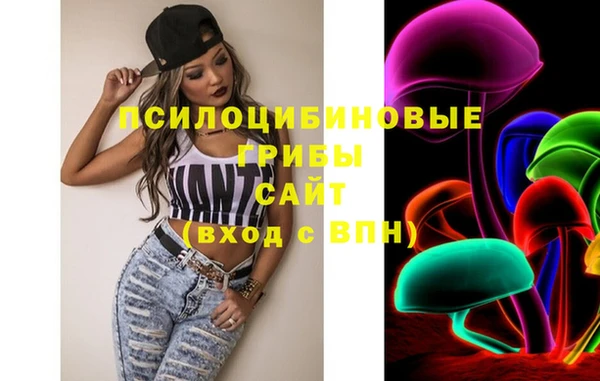 гашик Новозыбков