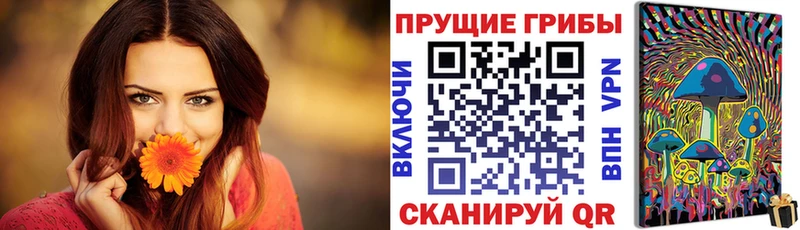 Псилоцибиновые грибы ЛСД  hydra зеркало  Пудож 