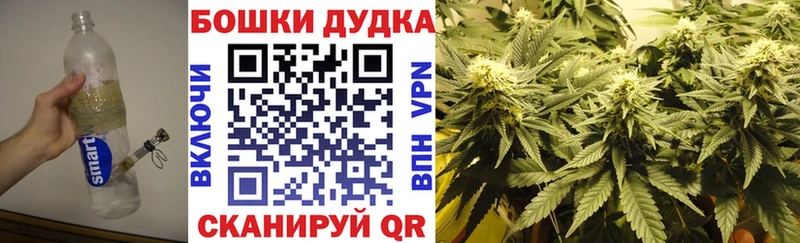 Шишки марихуана VHQ  hydra сайт  Пудож  купить закладку 